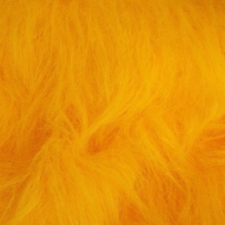 Golden Yellow Fur, Long Fluffy