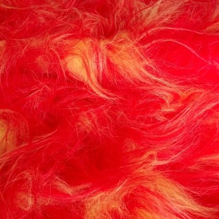 Red and Yellow Fur, Long Fluffy